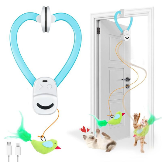 WhiskerFun Toy