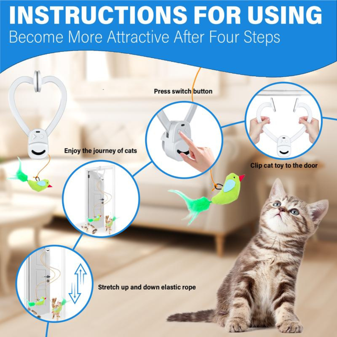 WhiskerFun Toy