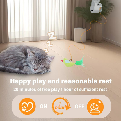 WhiskerFun Toy