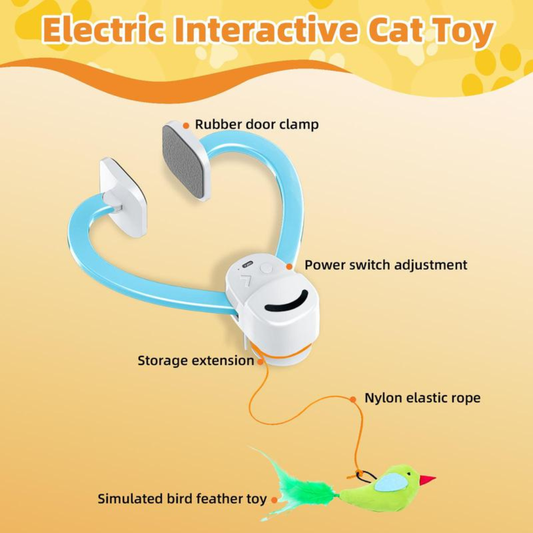 WhiskerFun Toy