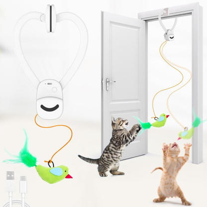 WhiskerFun Toy