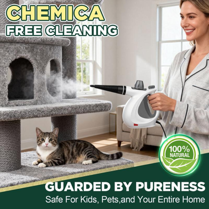 SteamForce Cleaner